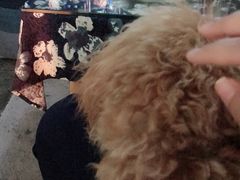 -赢吧Bliss音乐酒吧