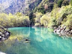 -叠溪松坪沟景区