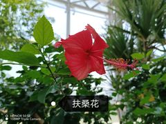 -国家植物园