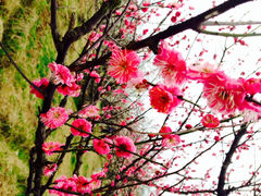 iphone_upload_pic-林屋洞景区