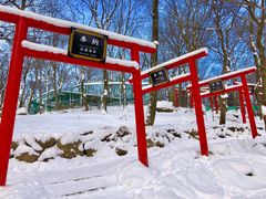 -宫城藏王狐狸村