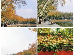 -北山街历史文化街区