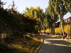 -丰台花园