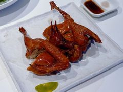 -侨美食家·41年地道粤菜(珠江新城店)