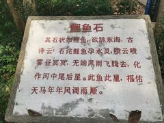 -上海佘山国家森林公园天马山园