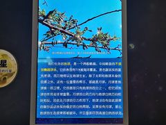 -上海儿童博物馆