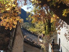 -潭柘寺景区