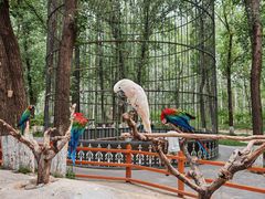 -北京野生动物园