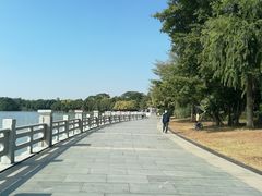 -海珠湖公园