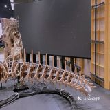 宁波首家GENTLE MONSTER很有个性
