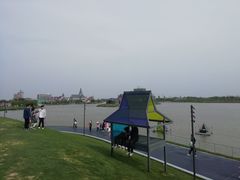 -荷兰花海