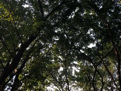 -关岳庙