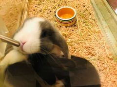 -龙猫仔乐园(惠福东路店)