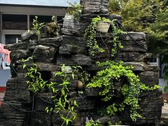 -遇见小院—虹鳟鱼•农家菜(怀柔店)