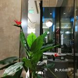 能不能把米煮熟点，中国胃吃不消