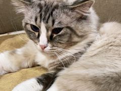 -白兔子密室(长寿路店)