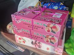 -南汇新场正宗水蜜桃采摘