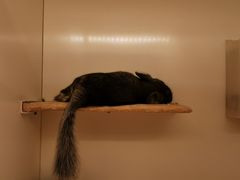 -龙猫仔乐园(惠福东路店)