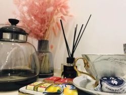 -紫御国际抗衰ZOE ANTI AGING