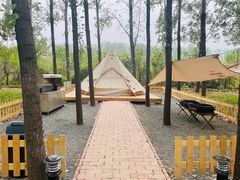 -森林小栈TreeStation露营基地
