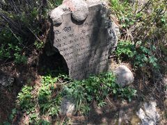 -王顺山国家森林公园