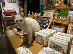 -新月集庭院咖啡馆(老邮局店)