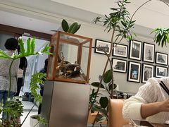 -一尺花园(安和花园店)