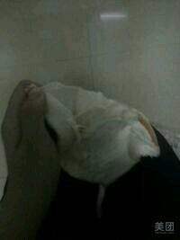 -桂香苑(瑞祥店)