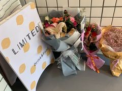 -LIMITED EXPRESS 限定快线