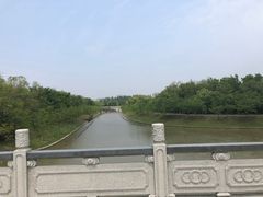 -上海海湾国家森林公园