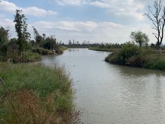 -漩门湾国家湿地公园