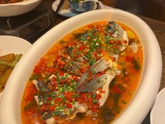 -洞庭渔人(沙湾店)