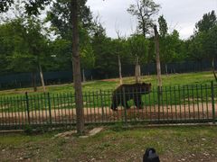 -秦皇岛野生动物园