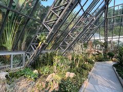 -深圳仙湖植物园