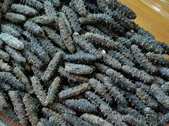 -宫品海参专卖店(静安大宁店)