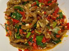 鸭掌筋-壹盏灯(惠农店)