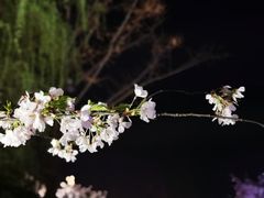-鸡鸣寺