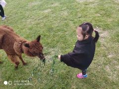 -大连铭湖国际观光牧场