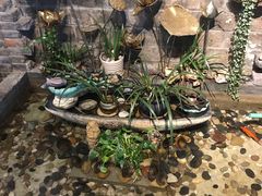 -阿嫂印象·民间江湖菜(大学城店)
