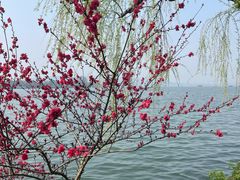 -浙江西子宾馆·牡丹厅