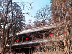 -潭柘寺景区