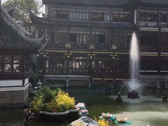 桂花拉糕-绿波廊(豫园店)