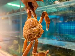 -碗中海·蒸汽海鲜·桑拿鸡(岭南天地店)