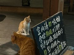 -马灯部落·西湖边的创意山景餐厅(虎跑动物园店)