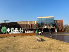 -黄海国家森林公园