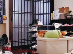 -逗柴咖啡屋·狗咖猫咖宠物桌游
