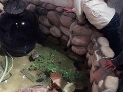 -馬蘭花開(车站大道店)