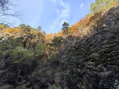 -茅兰沟国家森林公园