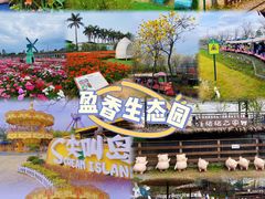 -盈香心动乐园