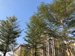 -厦门市图书馆(集美新城馆区)
